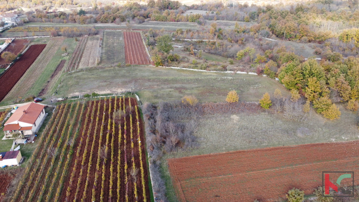 Istria - Svetvincenat, terreno 5700m2 in una posizione tranquilla